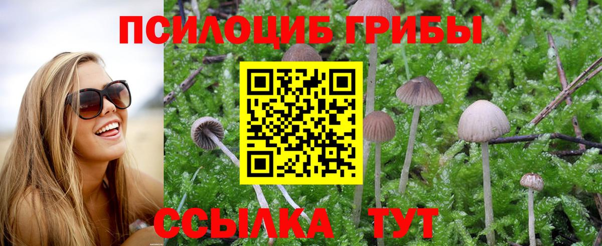 Псилоцибиновые грибы прущие грибы  Галлюциногенные грибы Magic Shrooms  Вольск  Вход с VPN 