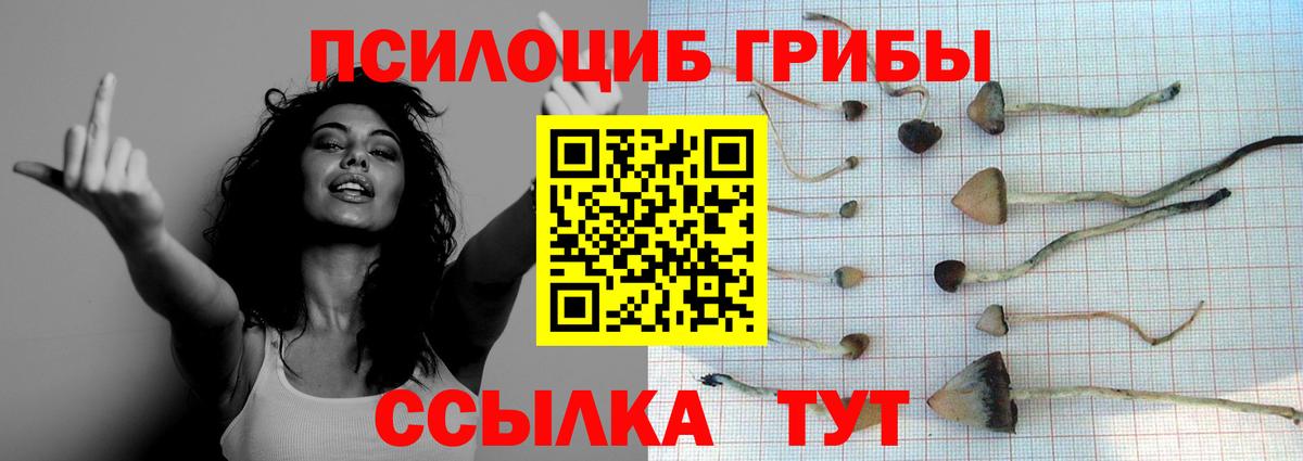 Галлюциногенные грибы мухоморы Вольск